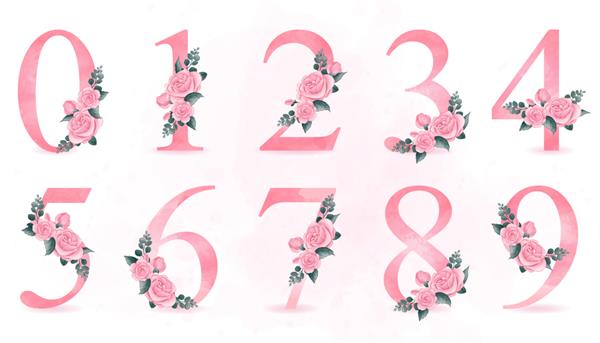 شماره گذاری زیبا با تصویر گل رز
