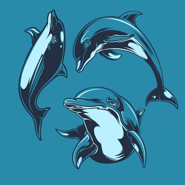 طرح اکشن باندل دلفین زیبا