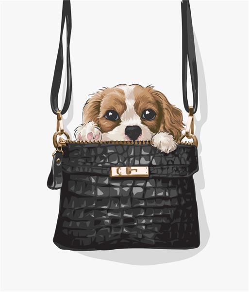 توله سگ کوچولو با تصویر کیف چرمی مشکی