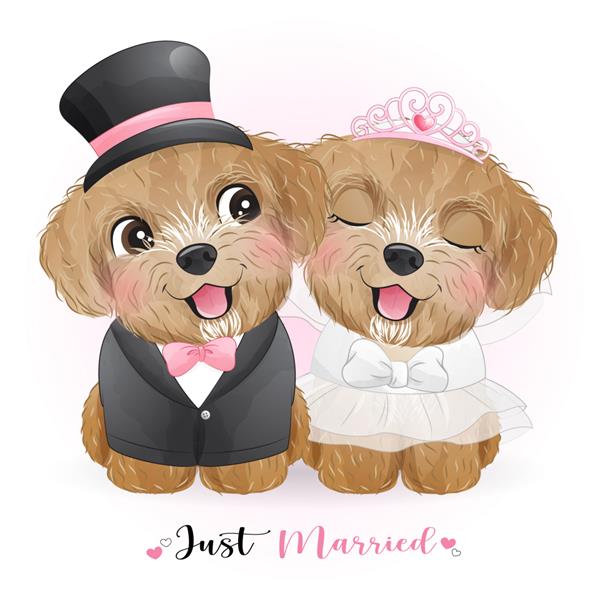 سگ های ابله زیبا با لباس عروسی تازه ازدواج کرده اند