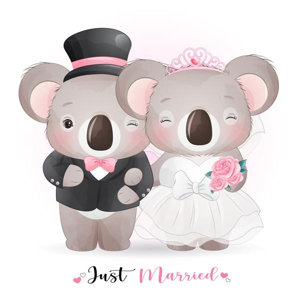 خرس کوالا دودل با لباس عروسی تازه ازدواج کرده است