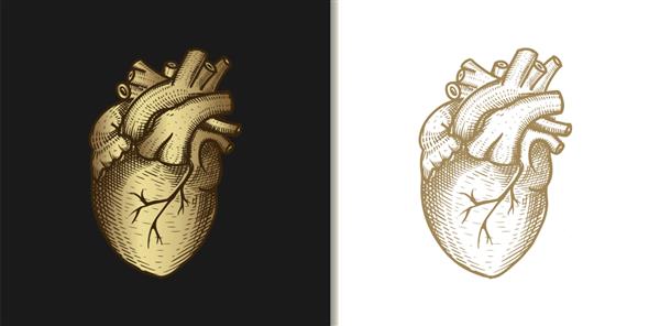 تصویر حکاکی قدیمی طلایی قلب یا عشق