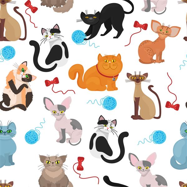 پس زمینه الگوی گربه های خزدار گربه رنگی با نخ های درهم تصویر گربه بازیگوش اهلی