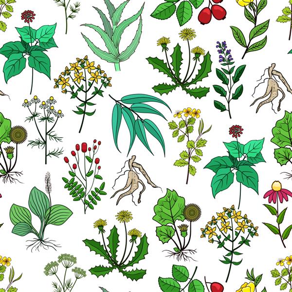 پس زمینه گیاهان دارویی و گیاهان دارویی روی سفید الگوی با گیاهان سبز برای دارو گیاه و گل برای تصویر دارو