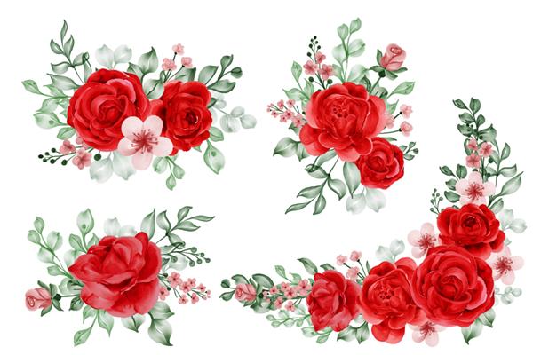 مجموعه آبرنگ گل آرایی آزادی رز قرمز و برگ