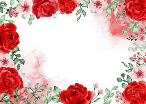 پس زمینه قاب گل قرمز رز آزادی با فضای سفید