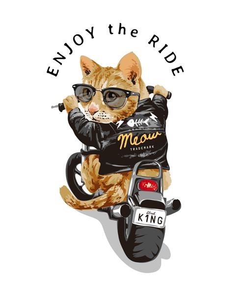 از شعار سواری با گربه ناز در تصویر موتور سیکلت سواری با عینک آفتابی لذت ببرید
