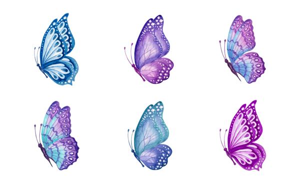 مجموعه ست پروانه های بهاری نقاشی شده با آبرنگ