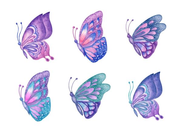 مجموعه ای از مجموعه پروانه های آبرنگ با دست زیبا
