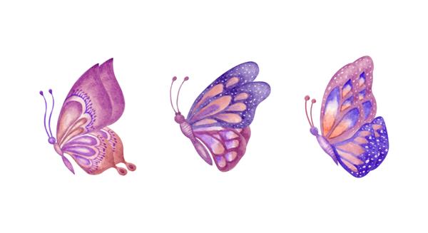 مجموعه ای از مجموعه پروانه های آبرنگ با دست زیبا