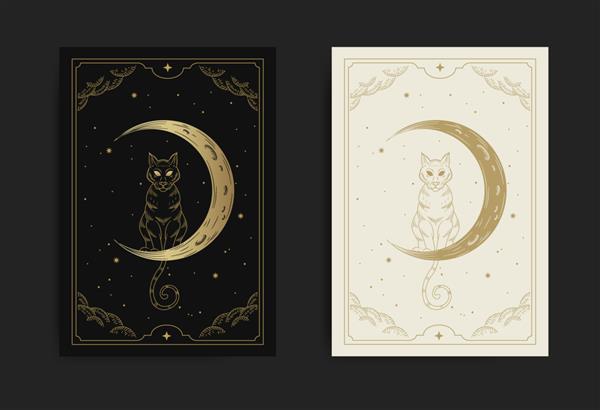گربه و هلال ماه در آسمان پرستاره شب