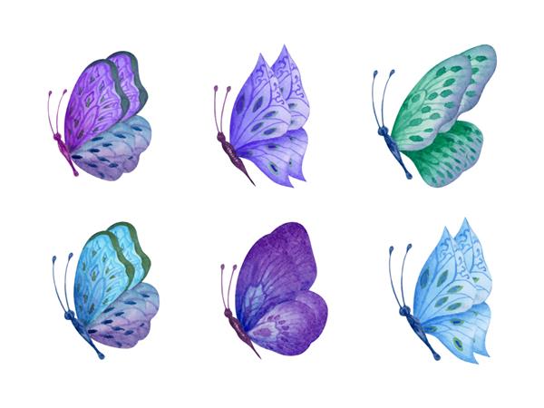 ست پروانه ای زیبا با آبرنگ نقاشی شده با دست
