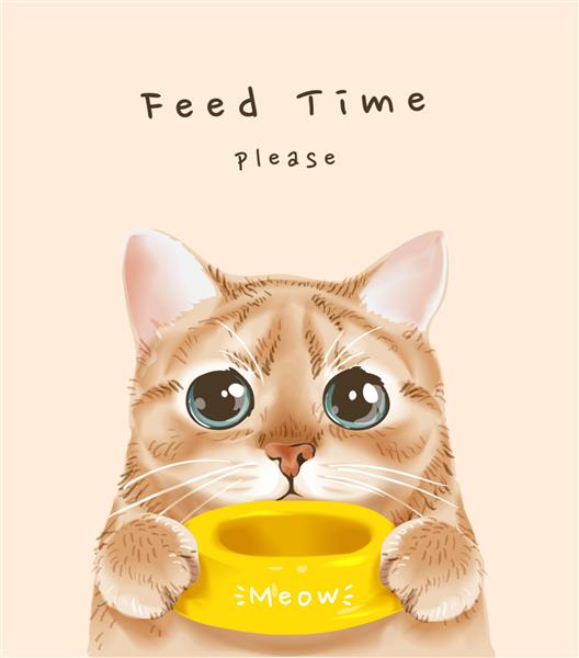 شعار زمان خوراک با تصویر گربه ناز کاسه غذا در دست است