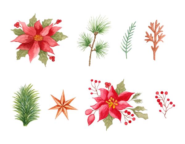 مجموعه ای از گل ها و برگ های کریسمس با آبرنگ برای تزئین