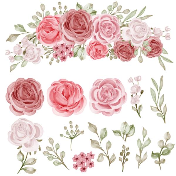 مجموعه کلیپارت گل رز صورتی جدا شده از رز