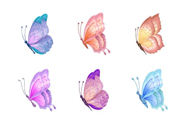 مجموعه ای از پروانه های رنگارنگ زیبا و دوست داشتنی