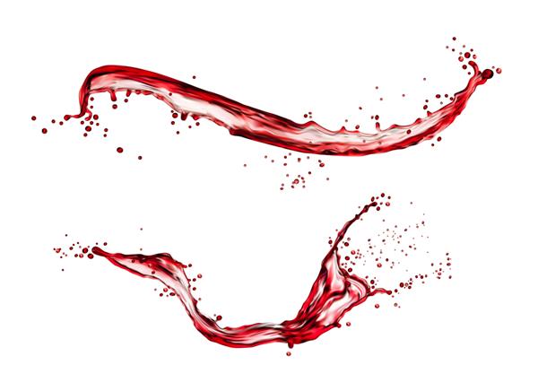 شراب قرمز یا آب جدا شده مایع پاشیده و موج می زند وکتور واقع گرایانه آب توت های زغال اخته انگور و گیلاس که با پاشیدن آب می چرخند پاشیده شدن نوشیدنی انار تمشک و توت فرنگی یا شربت