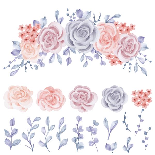 مجموعه ای از گل رز زمستانی جدا شده گل رز آبی کلیپرت