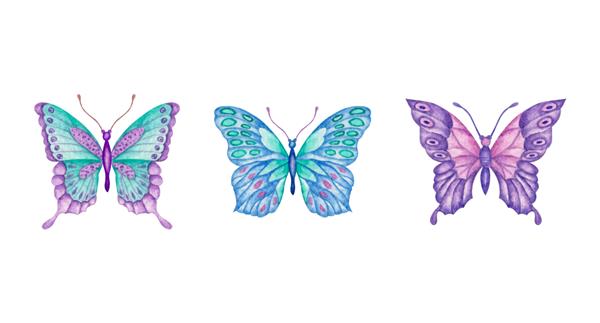 مجموعه ای از مجموعه پروانه های نقاشی شده با دست زیبا با آبرنگ