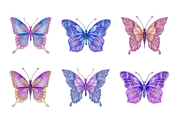 مجموعه ای از مجموعه پروانه های نقاشی شده با دست زیبا با آبرنگ