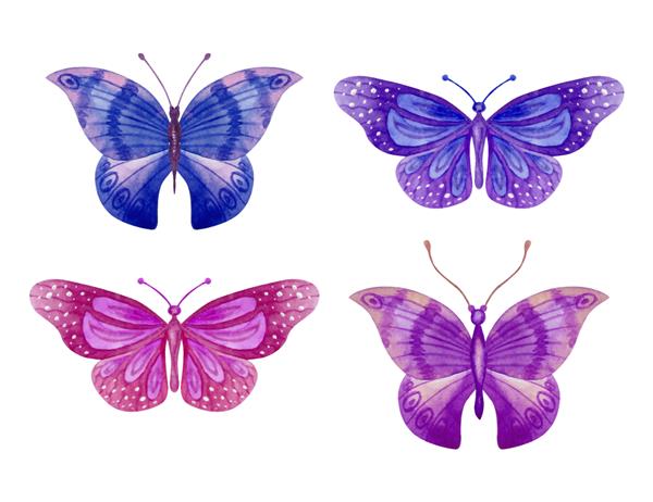 ست پروانه های دوست داشتنی با آبرنگ نقاشی شده با دست