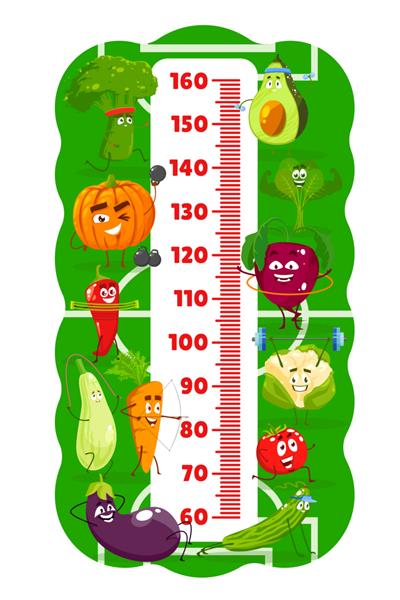 نمودار قد کودکان سبزیجات کارتونی ورزشکاران در زمین ورزشی مقیاس خط کش وکتور رشد سنج با سبزیجات روی تناسب اندام اسفناج و کدو تنبل کلم بروکلی و آووکادو هویج بادمجان گوجه فرنگی خیار