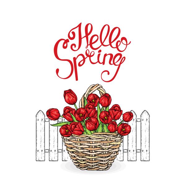 یک دسته گل زیبا از لاله های قرمز در یک سبد حصیری وکتور کارت پستال تعطیلات بهار