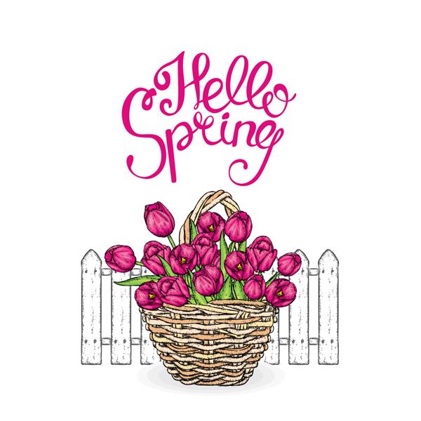 یک دسته گل زیبا از لاله های صورتی در یک سبد حصیری وکتور کارت پستال تعطیلات بهار