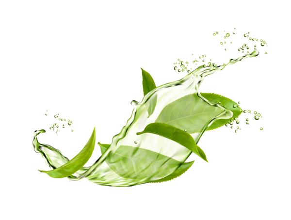 نوشیدنی گیاهی موجی با برگ های چای سبز