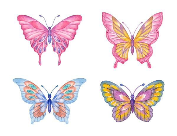مجموعه ای از پروانه های رنگارنگ بهاری زیبا و دوست داشتنی به سبک آبرنگ