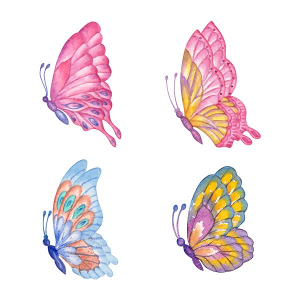 مجموعه ای از پروانه های رنگارنگ بهاری زیبا و دوست داشتنی به سبک آبرنگ