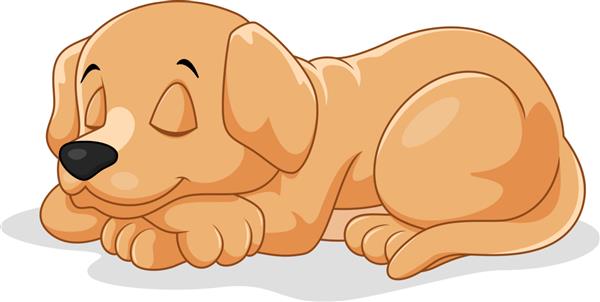 خواب توله سگ کارتونی زیبا روی پس زمینه سفید