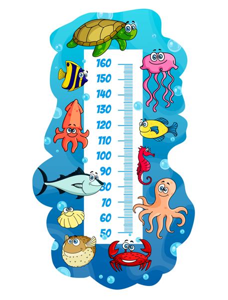 نمودار قد بچه‌ها با کارتونی حیوانات دریایی و ماهی خط‌کش اندازه‌گیری روی پس‌زمینه دریا با امواج آبی اقیانوس خرچنگ و اختاپوس ماهی مرکب لاک‌پشت دریایی و چتر دریایی با مقیاس استادیومتر