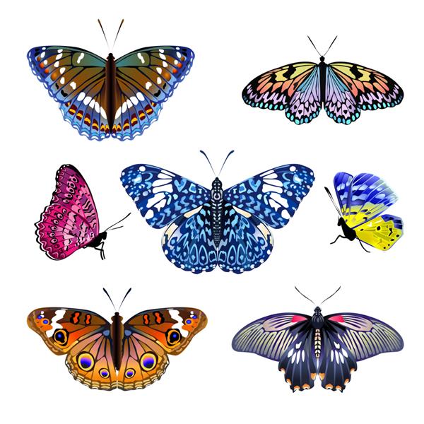 مجموعه لوستراسیون پروانه ها