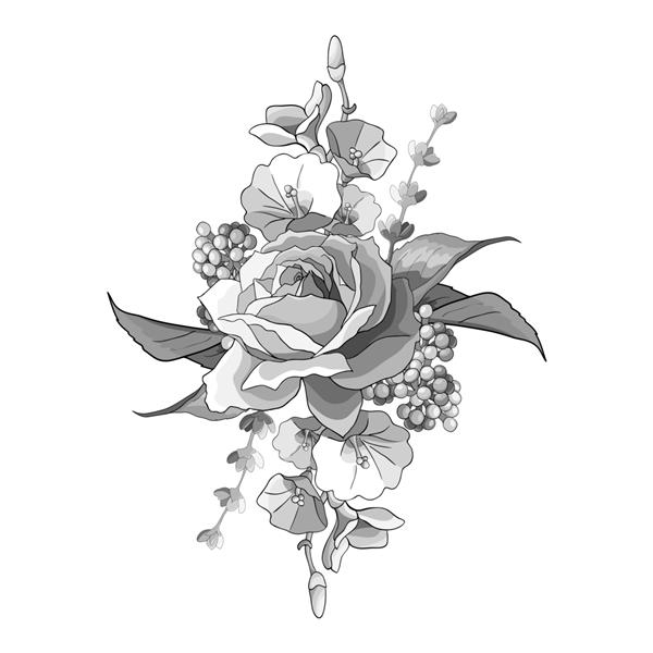 تصویر سیاه و سفید گل های رز