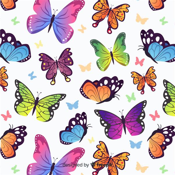 الگوی پروانه های تخت