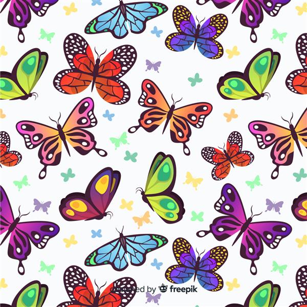 الگوی پروانه های تخت