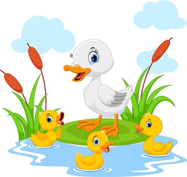 اردک مادر با سه جوجه اردک نازش در برکه شنا می کند