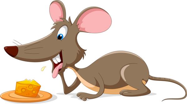 کارتون موش ناز با یک تکه پنیر