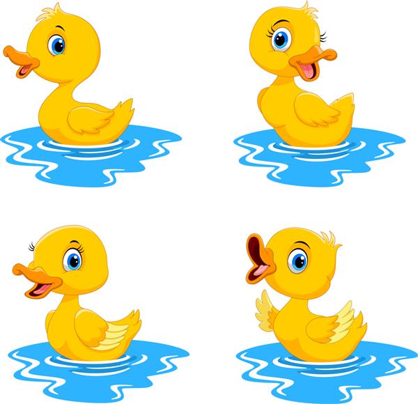 مجموعه شنای اردک کارتونی شاد
