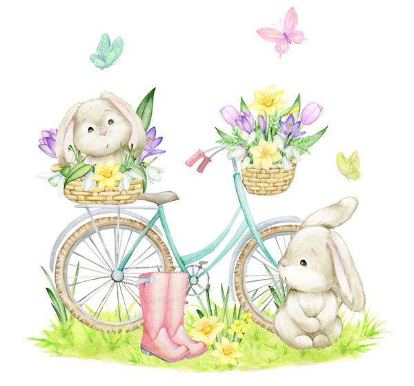 خرگوش پروانه دوچرخه گل چکمه سبد چمن کلیپ آبرنگ