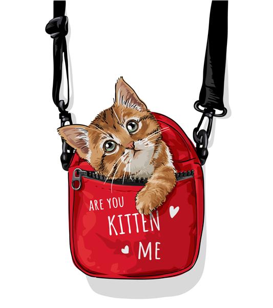 گربه ناز در تصویر کیف حمل قرمز