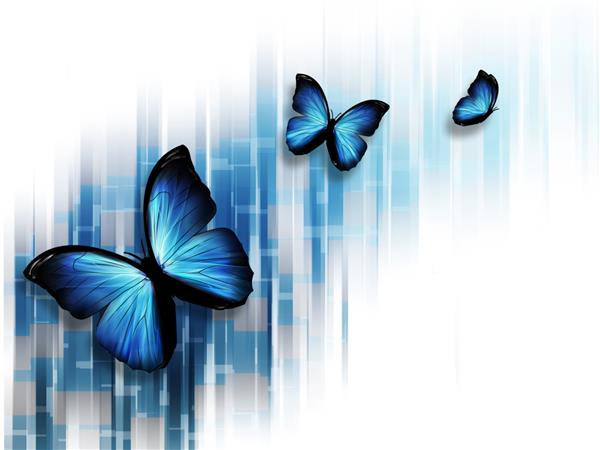 پس زمینه انتزاعی آبی زیبا با پروانه ها