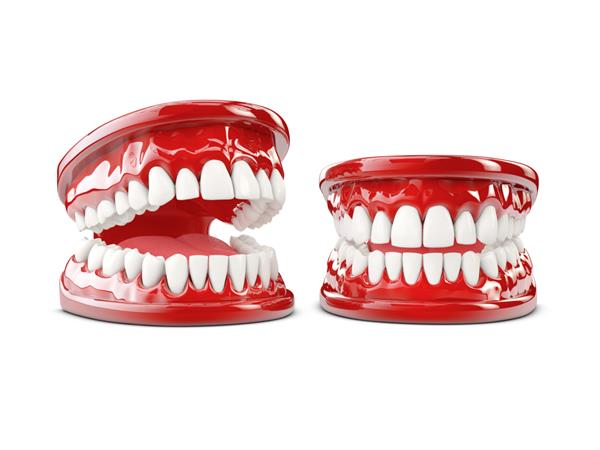 تصویر سه بعدی از دندان های انسان دهان باز و بسته در پس زمینه سفید