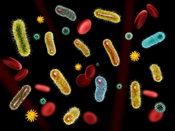 سلول های خونی و باکتری های ویروسی میکروارگانیسم ها و باسیل ها تصویر سه بعدی