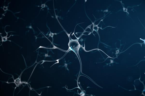 تصویر مفهومی سلول های عصبی با گره های پیوند سیناپس و سلول های عصبی که سیگنال های شیمیایی الکتریکی می فرستند نورون نورون های به هم پیوسته با پالس های الکتریکی تصویر سه بعدی