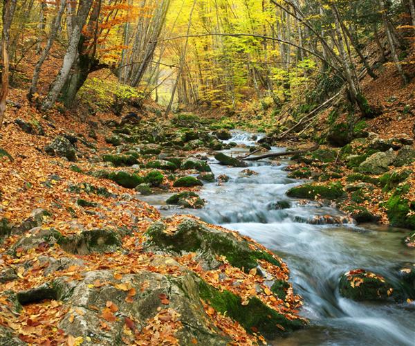 منظره پاییزی ترکیب طبیعت رودخانه به دره