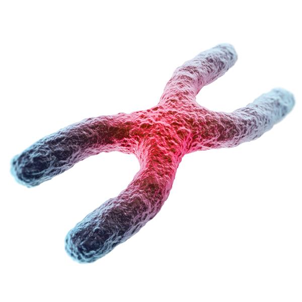 کروموزوم X قرمز در مرکز مفهوم بیماری جهش عفونت با جلوه تمرکز تصویر سه بعدی