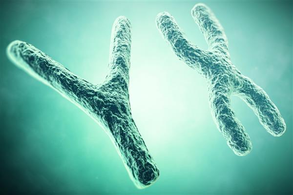 کروموزوم Yx در پیش زمینه یک تصویر علمی مفهومی سه بعدی