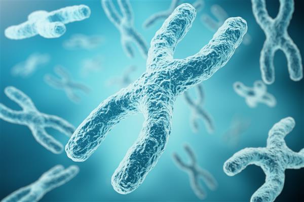 Xychromosomes به عنوان مفهومی برای ژن درمانی نماد پزشکی زیست شناسی انسان یا تحقیقات ژنتیک میکروبیولوژی رندر سه بعدی